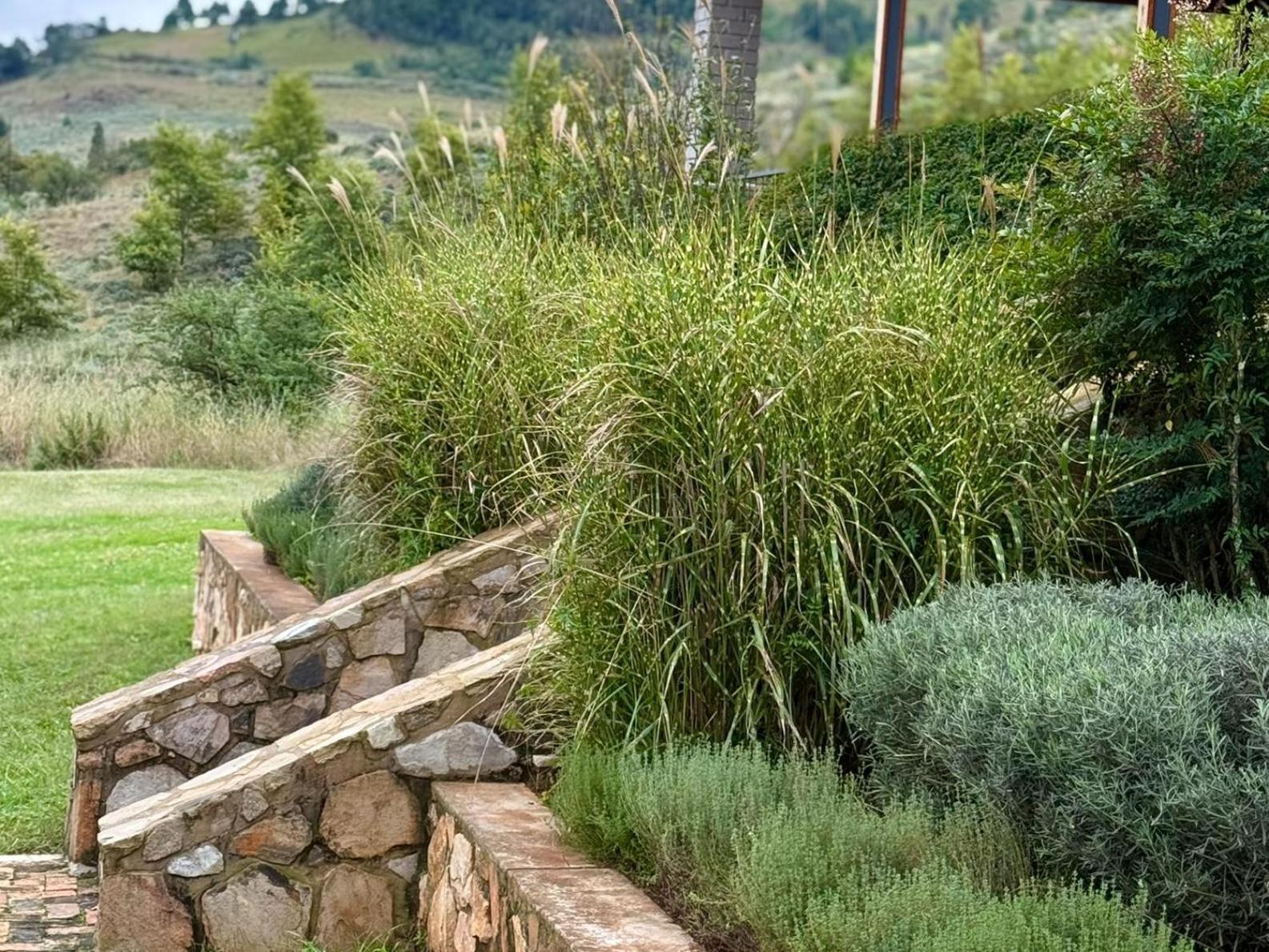 Stone Creek Mountain Lodge Dullstroom Ngoại thất bức ảnh