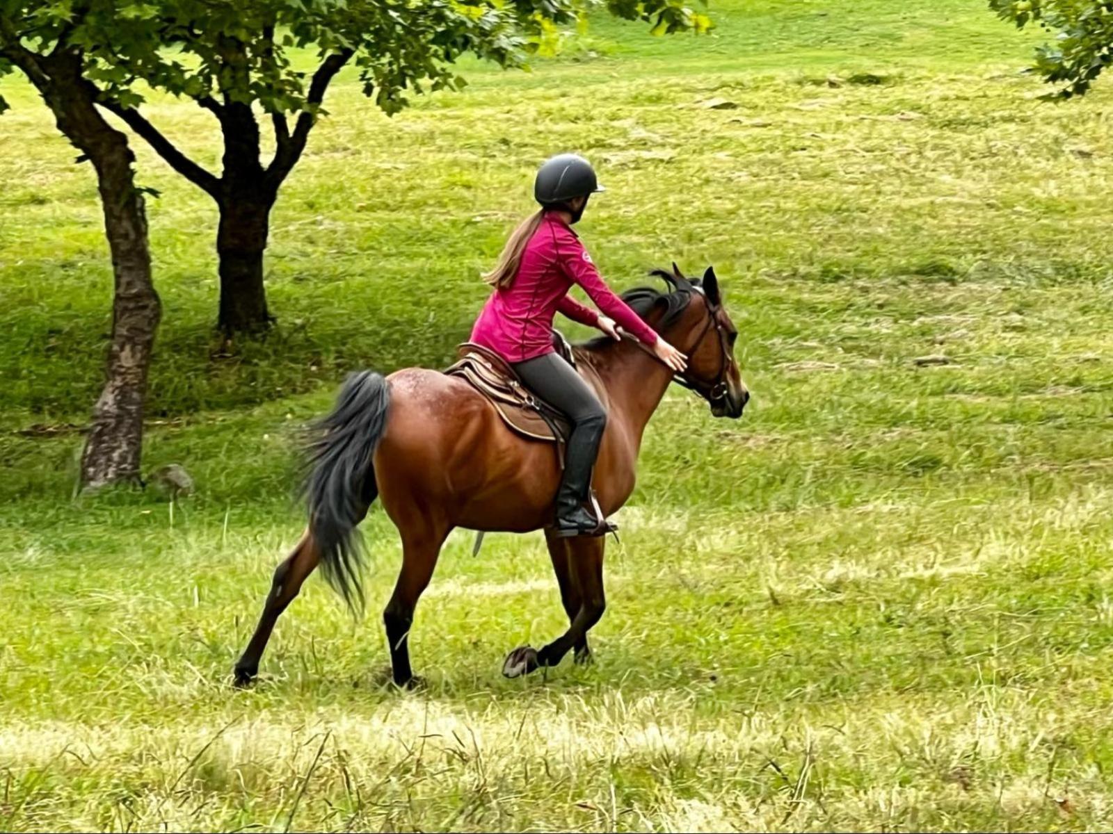 Stone Creek Mountain Lodge Dullstroom Ngoại thất bức ảnh